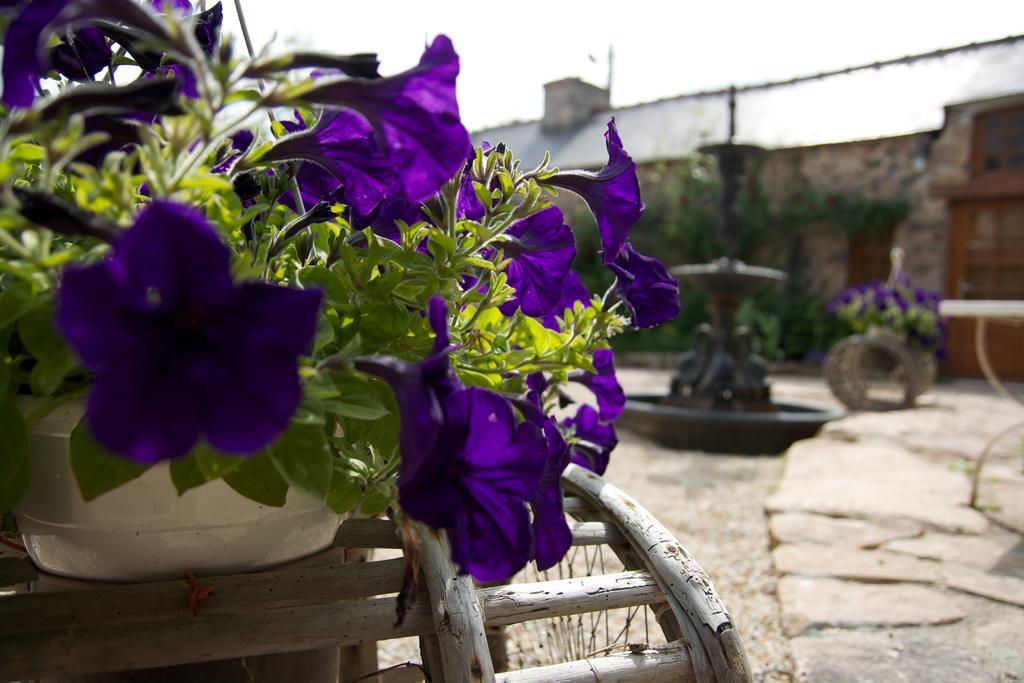 Relais Saint Aubin Bed & Breakfast Erquy Luaran gambar